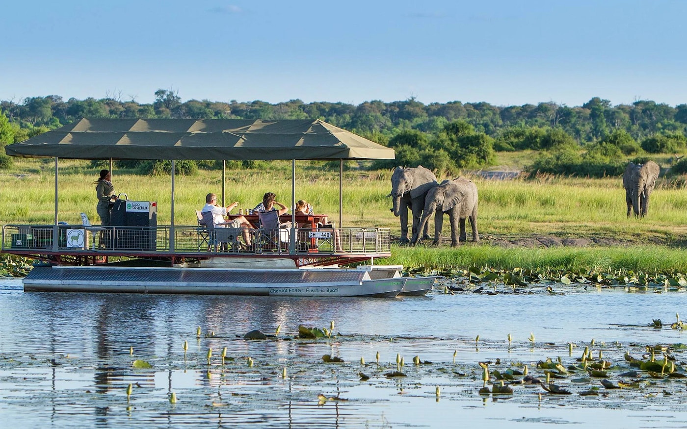 Top 10 best activities to do in Chobe national park on Botswana Wildlife safari